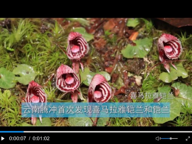 360截圖20200720101745719 360截圖20200720101745719