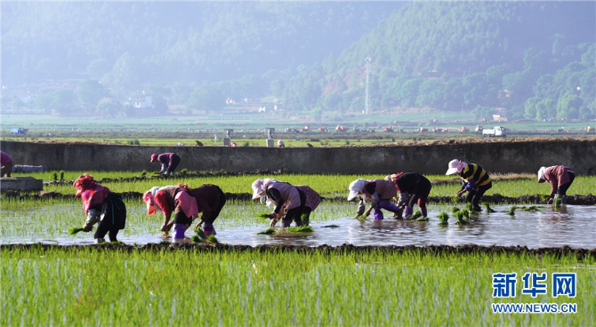 139221764_15952060363011n 139221764_15952060363011n