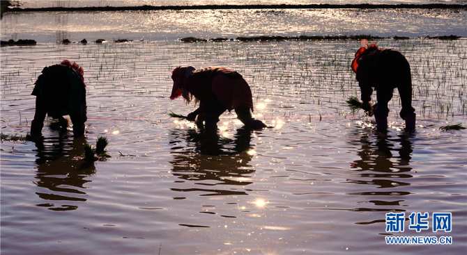 139221764_15952060377801n 139221764_15952060377801n