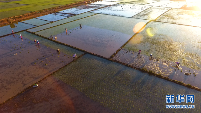 139221764_15952060384221n 139221764_15952060384221n