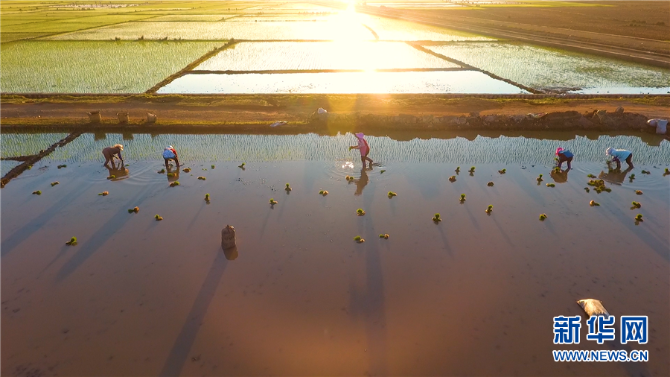 139221764_15952060390891n 139221764_15952060390891n