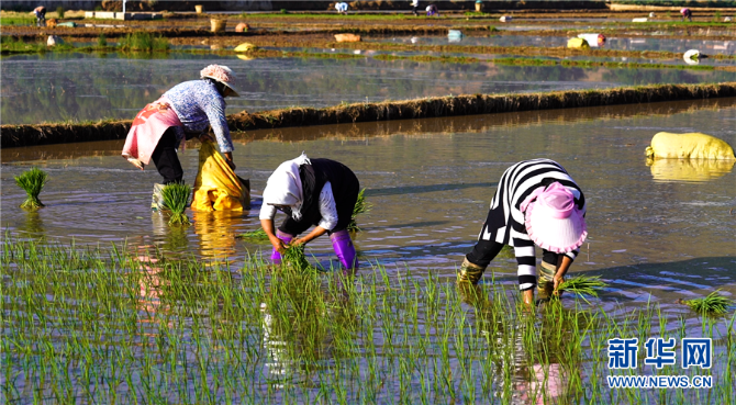 139221764_15952060399361n 139221764_15952060399361n