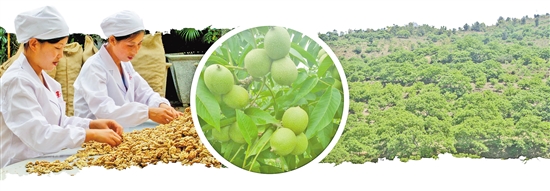 2020072105_res07_attpic_brief 2020072105_res07_attpic_brief