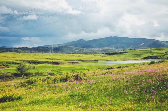 by 圖蟲(chóng) 枝別