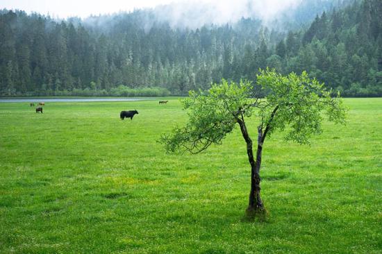 普達(dá)措國(guó)家公園