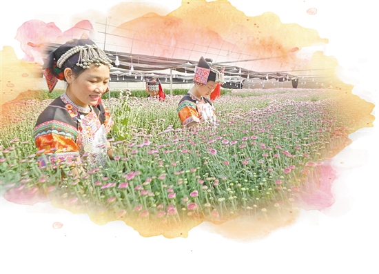 2020072205_res03_attpic_brief 2020072205_res03_attpic_brief