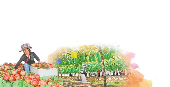 2020072205_res07_attpic_brief 2020072205_res07_attpic_brief