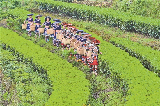 2020072206_res03_attpic_brief 2020072206_res03_attpic_brief