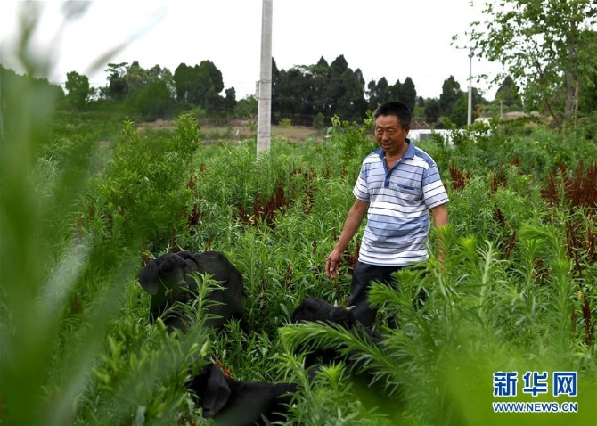 （走向我們的小康生活·圖文互動(dòng)）（3）擺擺幸福鄉(xiāng)村的新鮮事兒