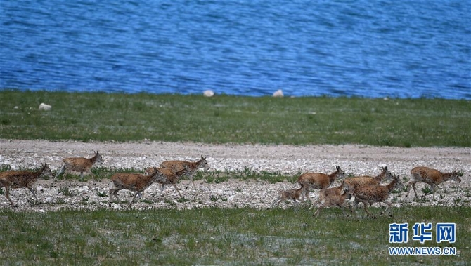 1126268963_15953787931401n 1126268963_15953787931401n