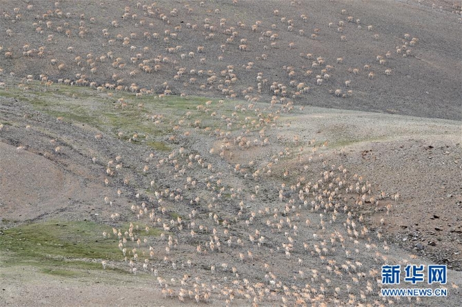 1126268963_15953787932141n 1126268963_15953787932141n