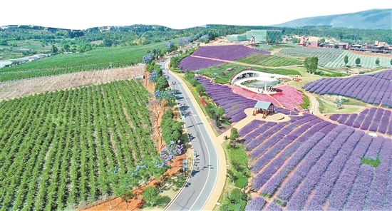 2020072306_res07_attpic_brief 2020072306_res07_attpic_brief