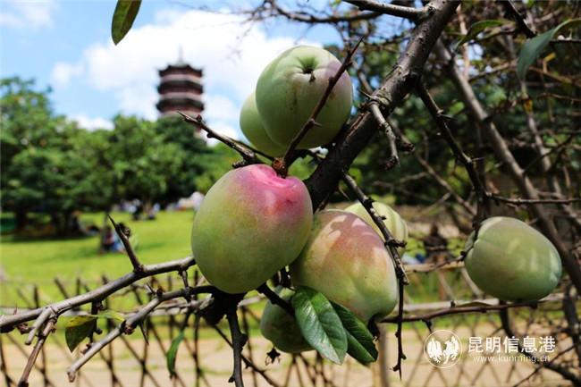 微信圖片_20200724195803