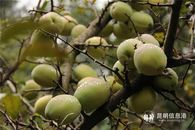 微信圖片_20200724195818