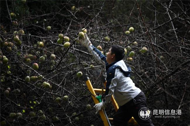 微信圖片_20200724195823