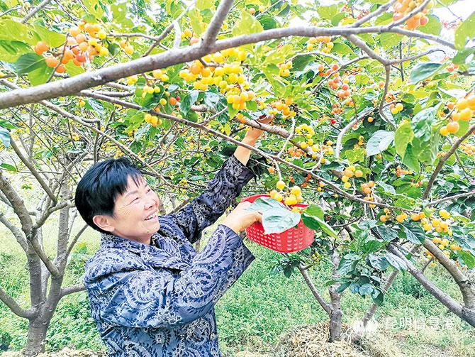 微信圖片_20200725224827