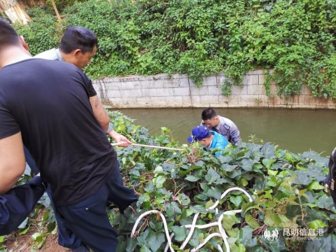 0727_1.jpg 0727_1.jpg