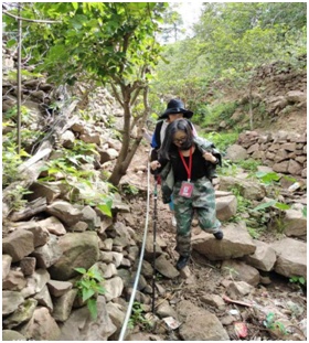 微信圖片_20200727141204.png?x-oss-process=style/w10