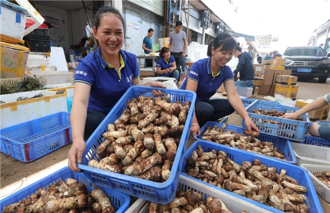 高原特色農(nóng)業(yè)-綠色產(chǎn)業(yè)-綠色食品牌018-楊崢 攝.JPG