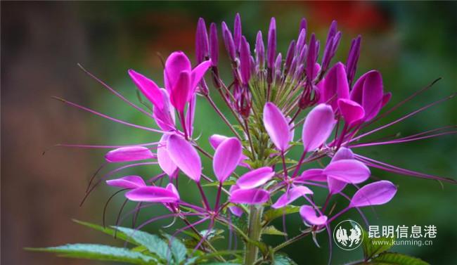 微信圖片_20200728191056 微信圖片_20200728191056