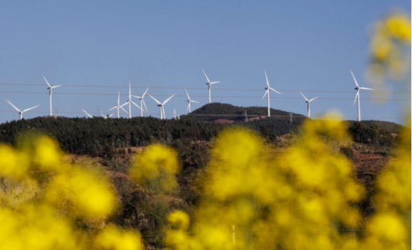 楚雄姚安風電景觀。袁景輝 攝