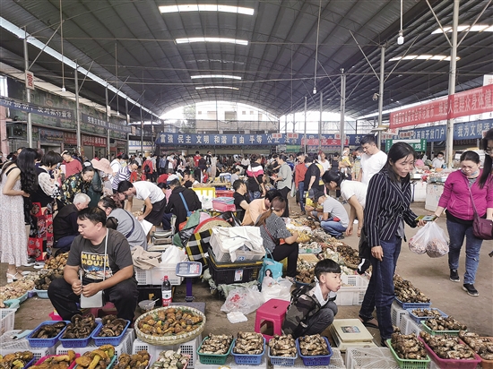 20200803A08_res19_attpic_brief 20200803A08_res19_attpic_brief