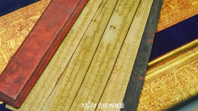 “貝葉文化”中最古老、最核心的部分“貝葉經(jīng)”2