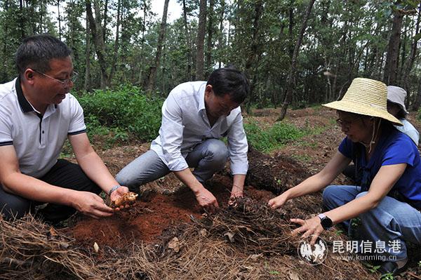 微信圖片_20200804092737 - 副本