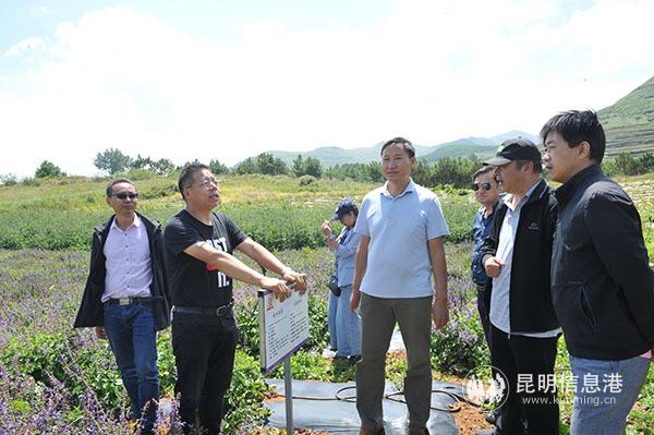 微信圖片_20200804092958