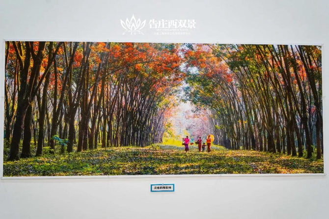 微信圖片_20200804094232