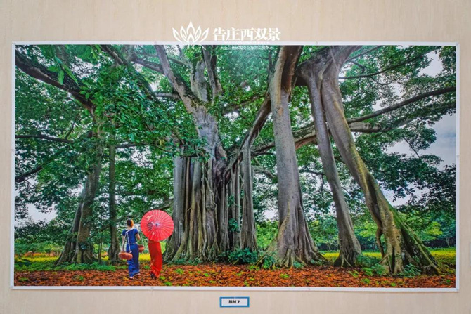 微信圖片_20200804094234