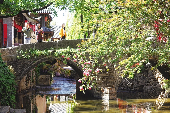 20200805A08_res11_attpic_brief 20200805A08_res11_attpic_brief