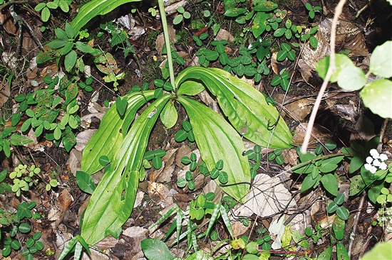 20200805A10_res03_attpic_brief