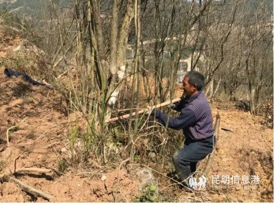 77BF0CDE@AC5DC21C.B2182A5F_recompress 77BF0CDE@AC5DC21C.B2182A5F_recompress