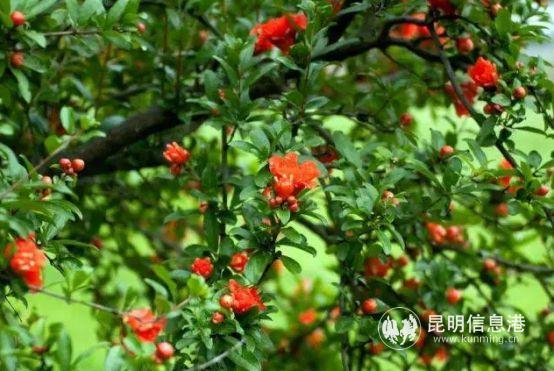 9596A5A9@7824AC6D.B2182A5F_recompress 9596A5A9@7824AC6D.B2182A5F_recompress