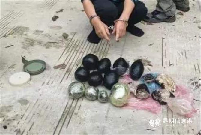 0805_1 (1) 0805_1 (1)