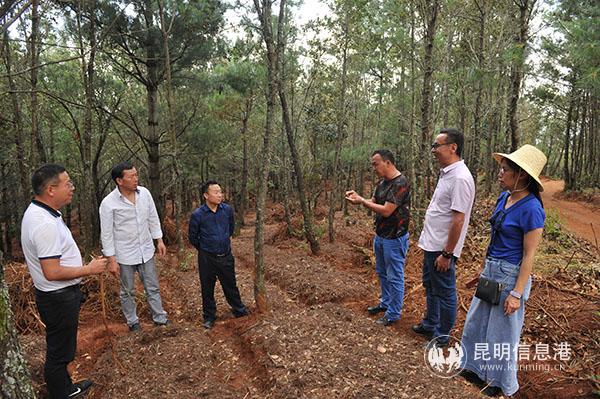 微信圖片_20200806092644