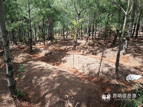 微信圖片_20200806092611