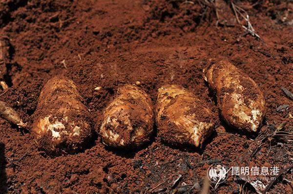 微信圖片_20200806092627