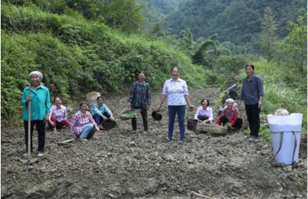 QQ截圖202008061042273 QQ截圖202008061042273