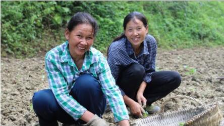 QQ截圖202008061042384 QQ截圖202008061042384