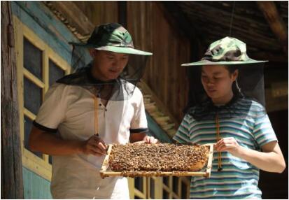 QQ截圖202008061047513 QQ截圖202008061047513