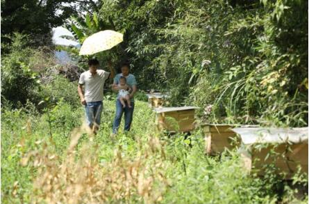 QQ截圖20200806104804 QQ截圖20200806104804