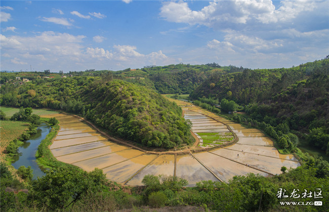 13三個月前，這里還沒有彩稻。