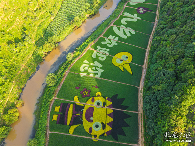 21辛勤的勞作，在時(shí)光流轉(zhuǎn)中，成就了一幅幅美麗生動的稻田彩畫。