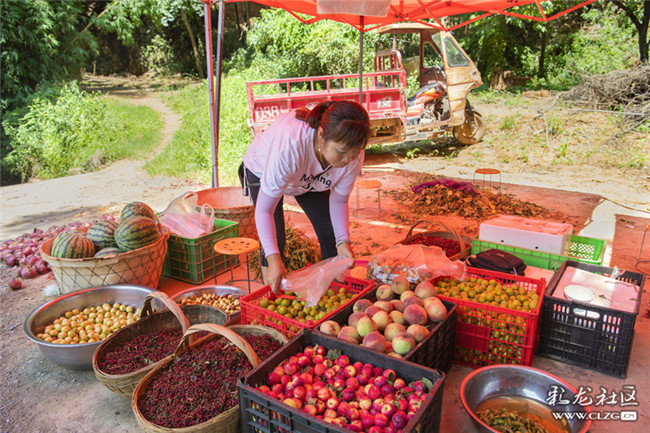 26河灣村口，曾大姐在賣一些自家地里的水果、花椒之類的土特產(chǎn)。她說，種養(yǎng)殖業(yè)是家里主要來源，游客多時(shí)，她也會賣涼卷粉、豌豆粉，生意不錯。