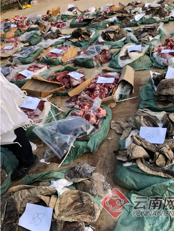 00302110490_fd27c665 00302110490_fd27c665