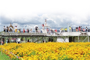 20200806A09_res12_attpic_icon