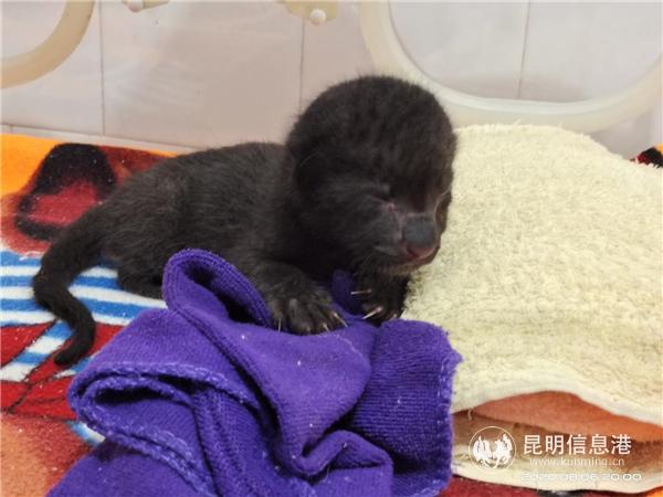 微信圖片_20200806231319 微信圖片_20200806231319