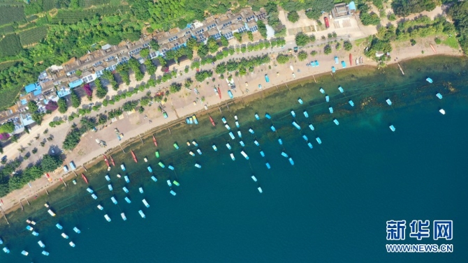 139264058_15965315308481n